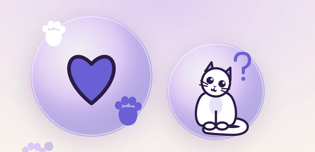 אילו שאלות לשאול לפני שמאמצים חתול מעמותה או מאדם פרטי
